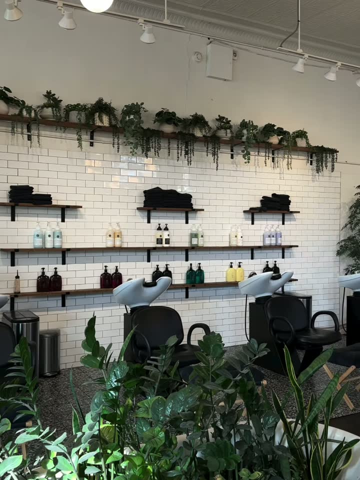 Inside Dandelion Salon